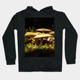 Mushroom Nature Photography Pacific Northwest Hoodie